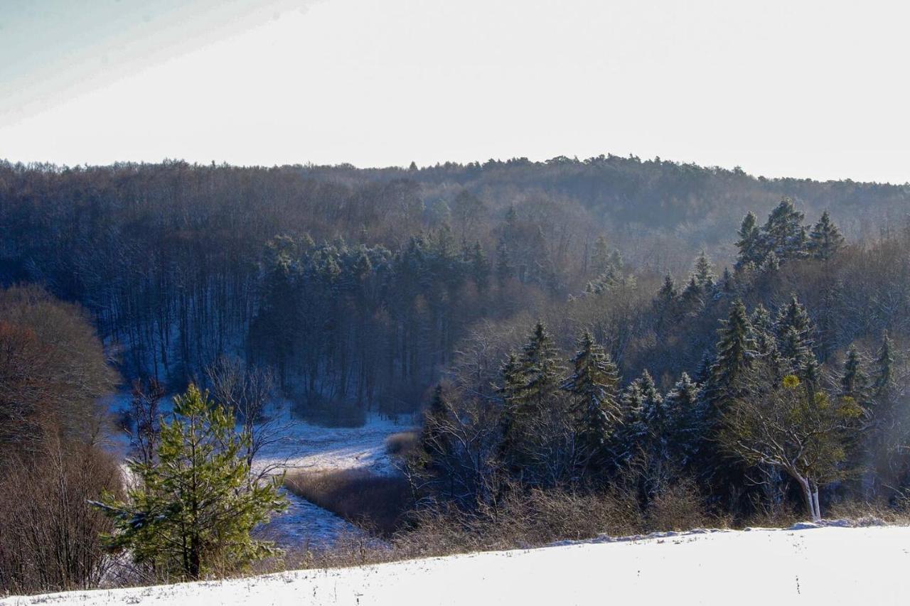 The Hills At River Чарнкув Экстерьер фото